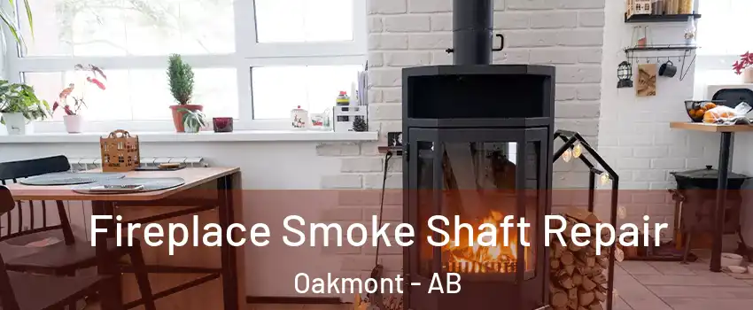  Fireplace Smoke Shaft Repair Oakmont - AB