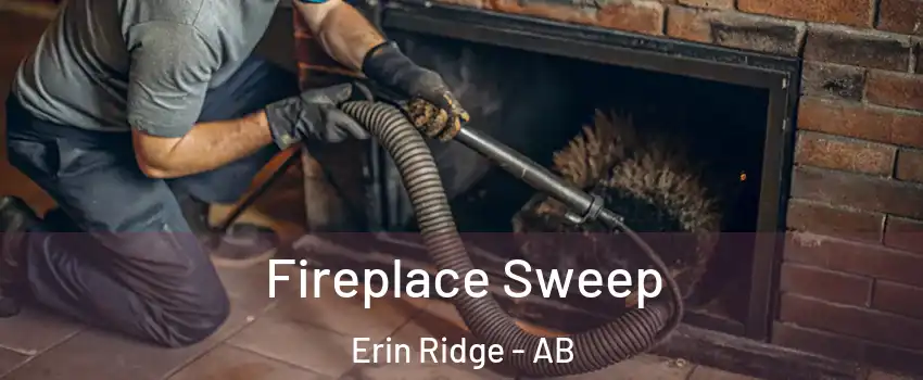  Fireplace Sweep Erin Ridge - AB