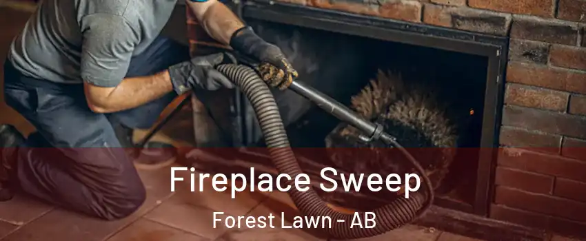  Fireplace Sweep Forest Lawn - AB