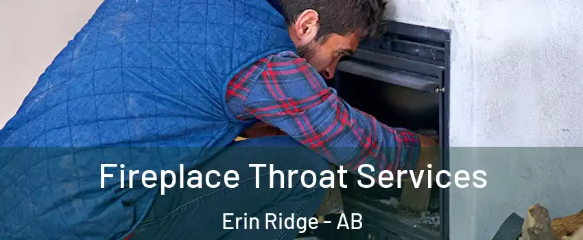  Fireplace Throat Services Erin Ridge - AB