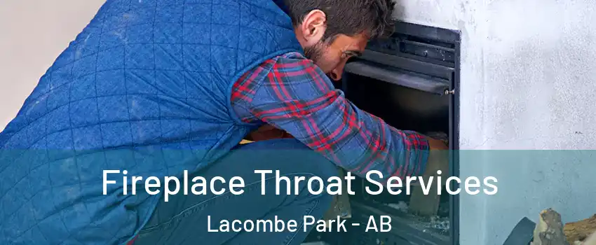  Fireplace Throat Services Lacombe Park - AB
