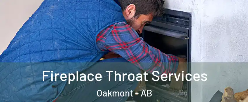  Fireplace Throat Services Oakmont - AB