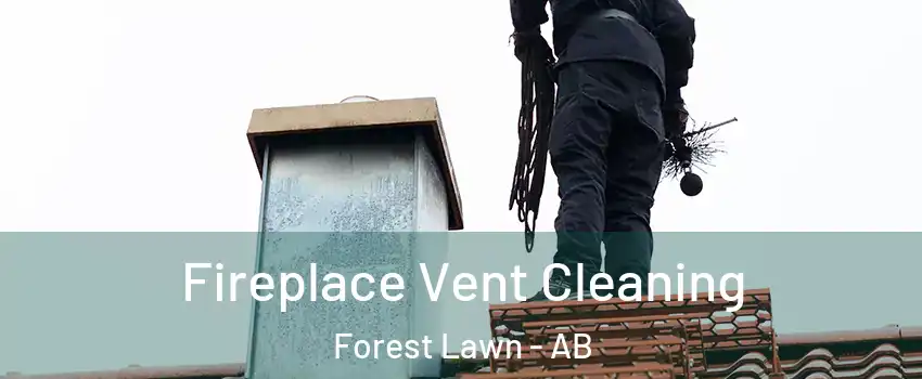  Fireplace Vent Cleaning Forest Lawn - AB