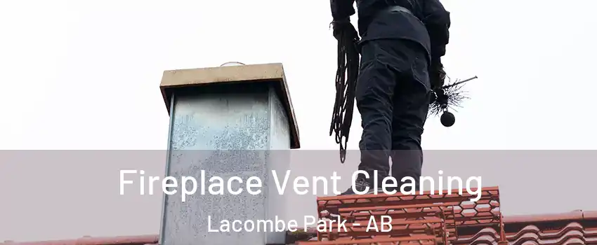  Fireplace Vent Cleaning Lacombe Park - AB