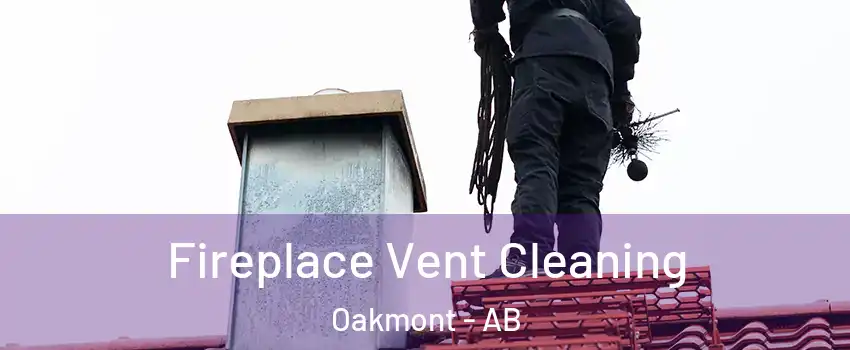  Fireplace Vent Cleaning Oakmont - AB