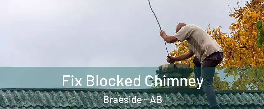  Fix Blocked Chimney Braeside - AB