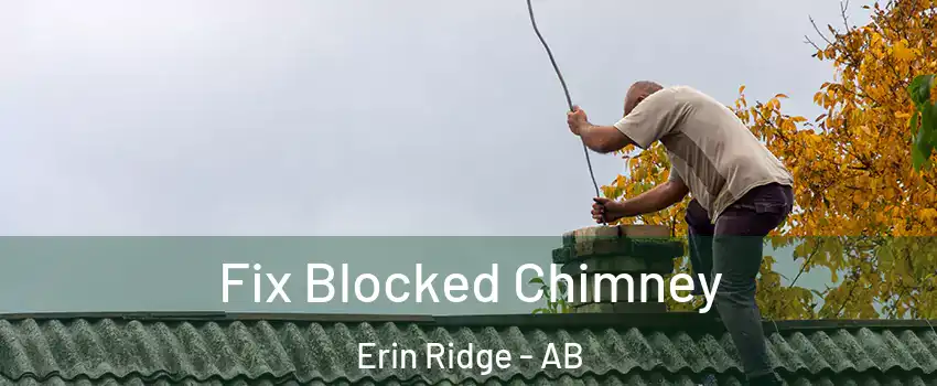  Fix Blocked Chimney Erin Ridge - AB