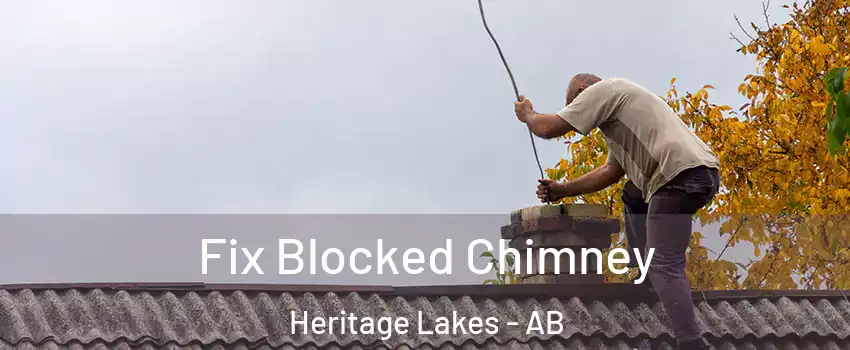  Fix Blocked Chimney Heritage Lakes - AB