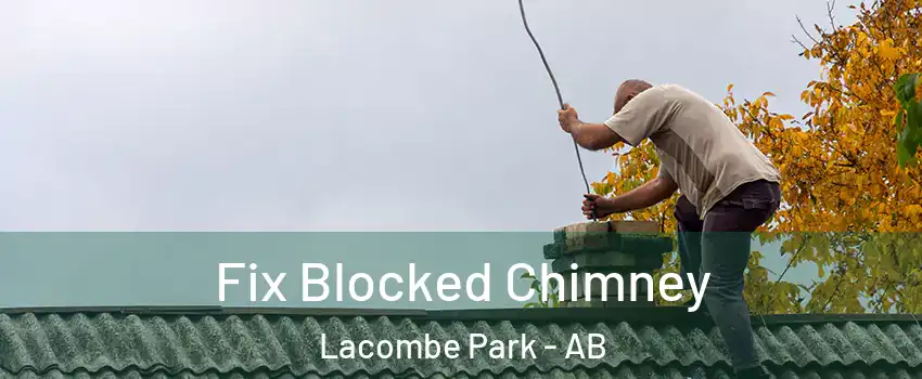  Fix Blocked Chimney Lacombe Park - AB