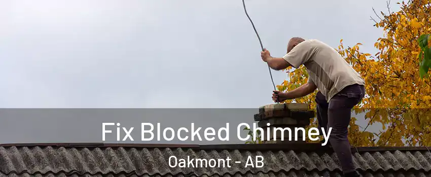  Fix Blocked Chimney Oakmont - AB