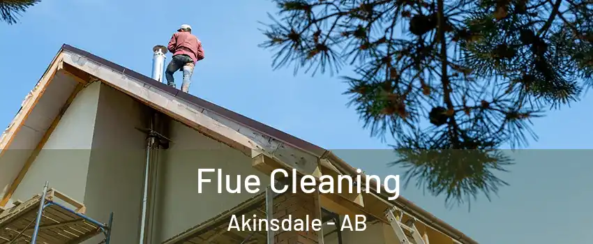  Flue Cleaning Akinsdale - AB