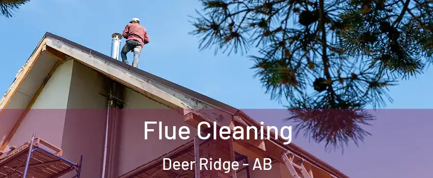  Flue Cleaning Deer Ridge - AB