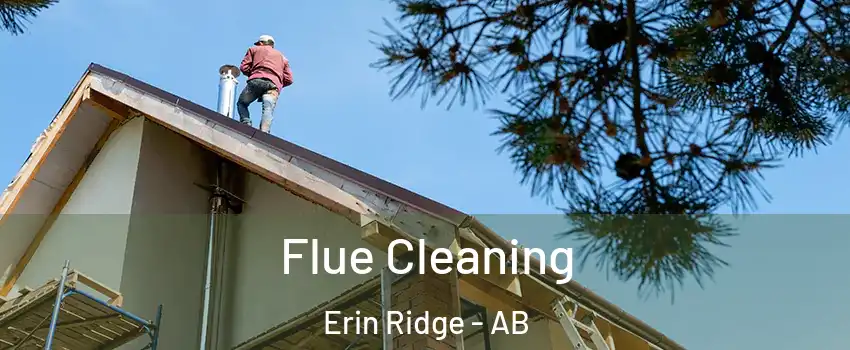  Flue Cleaning Erin Ridge - AB
