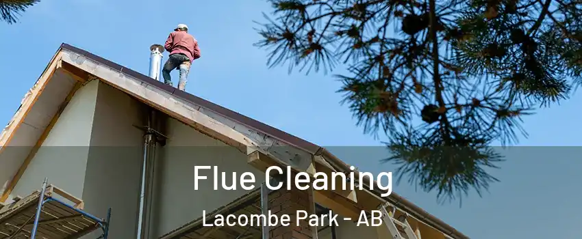  Flue Cleaning Lacombe Park - AB