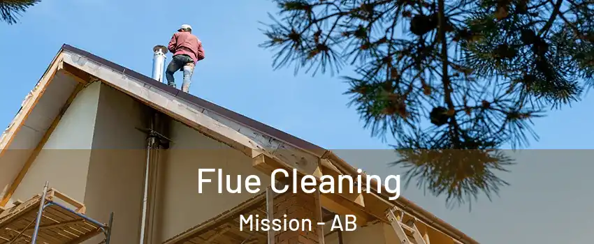  Flue Cleaning Mission - AB