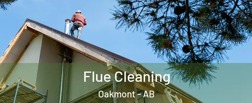  Flue Cleaning Oakmont - AB