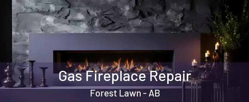  Gas Fireplace Repair Forest Lawn - AB