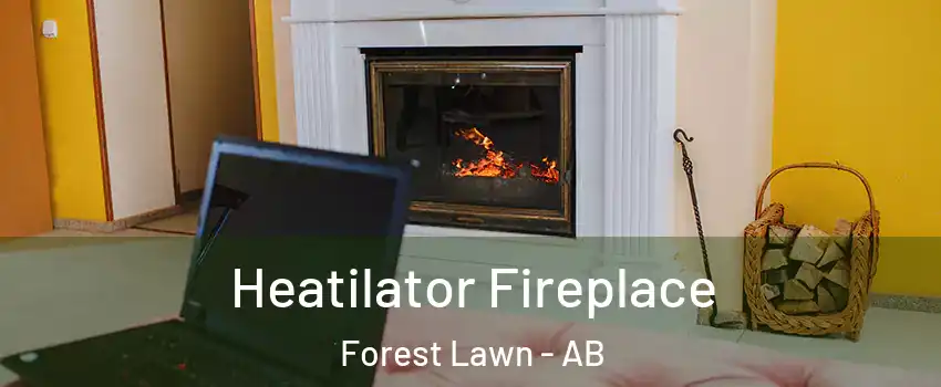  Heatilator Fireplace Forest Lawn - AB