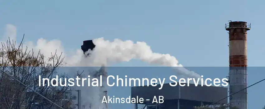  Industrial Chimney Services Akinsdale - AB