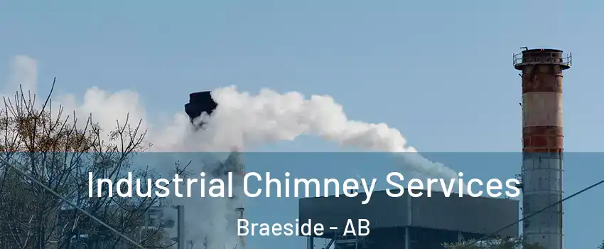  Industrial Chimney Services Braeside - AB