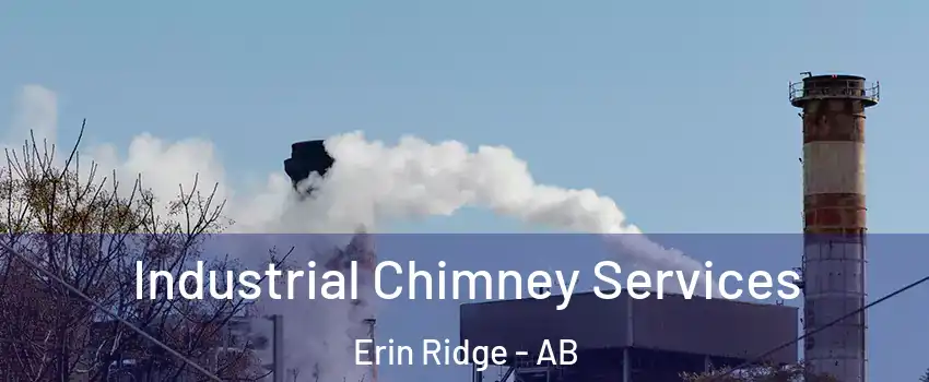  Industrial Chimney Services Erin Ridge - AB
