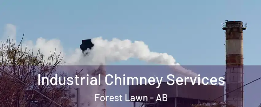  Industrial Chimney Services Forest Lawn - AB