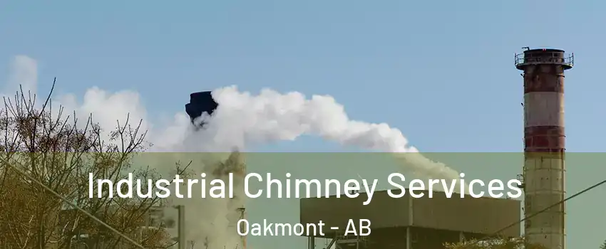  Industrial Chimney Services Oakmont - AB