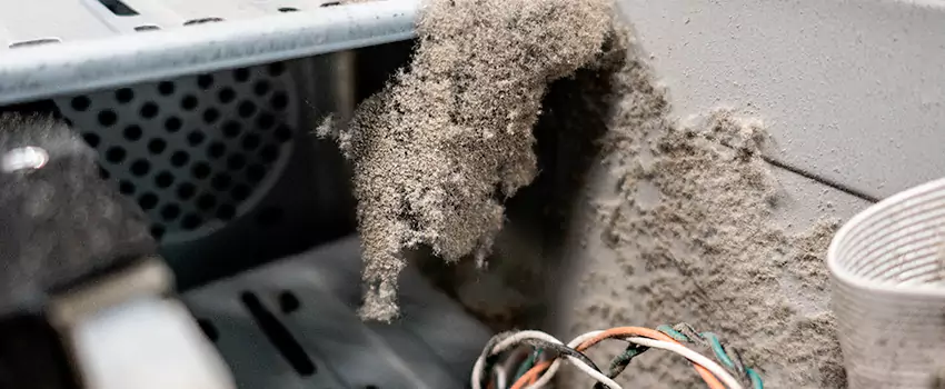 Clogged Dryer Vent Lint Cleaning in Lacombe Park, Alberta