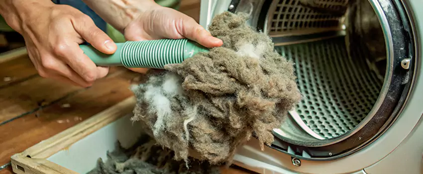 Best Dryer Lint Removal Company in St Albert, Alberta