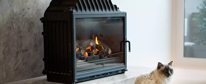 Fireplace Damaged Damper Frame Repair Services in St Albert, Alberta