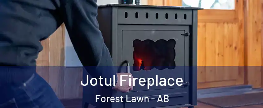  Jotul Fireplace Forest Lawn - AB
