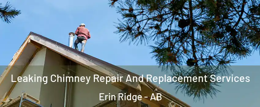  Leaking Chimney Repair And Replacement Services Erin Ridge - AB