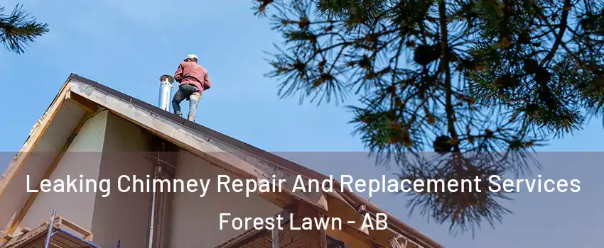  Leaking Chimney Repair And Replacement Services Forest Lawn - AB