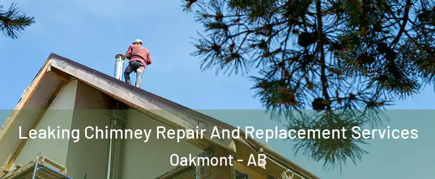  Leaking Chimney Repair And Replacement Services Oakmont - AB