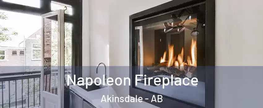  Napoleon Fireplace Akinsdale - AB