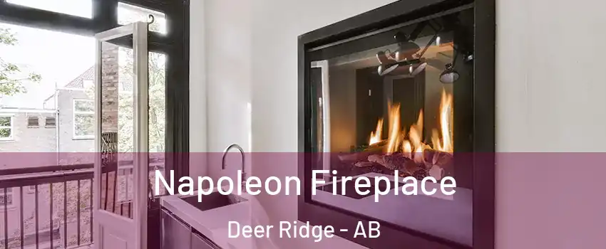 Napoleon Fireplace Deer Ridge - AB