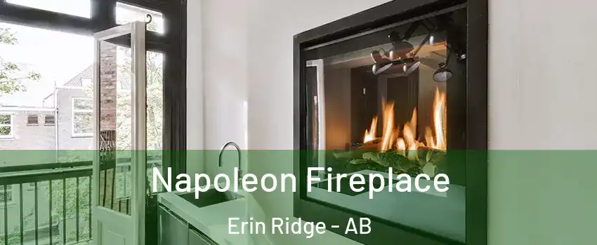  Napoleon Fireplace Erin Ridge - AB