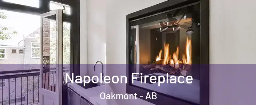  Napoleon Fireplace Oakmont - AB