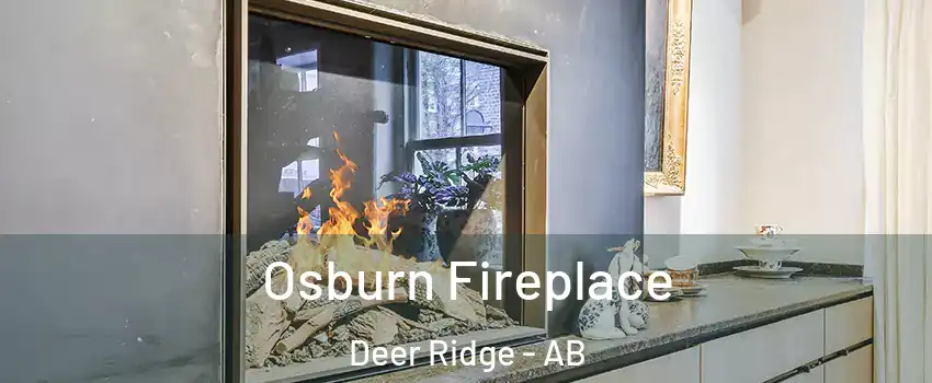  Osburn Fireplace Deer Ridge - AB