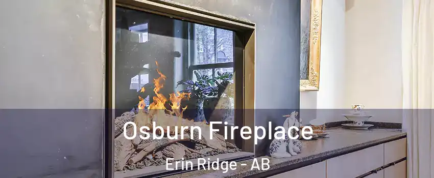 Osburn Fireplace Erin Ridge - AB