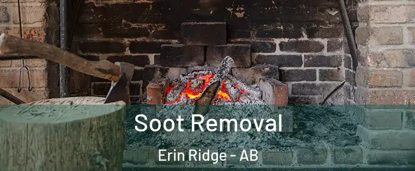  Soot Removal Erin Ridge - AB