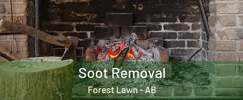  Soot Removal Forest Lawn - AB