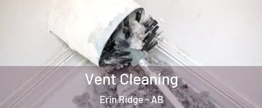  Vent Cleaning Erin Ridge - AB