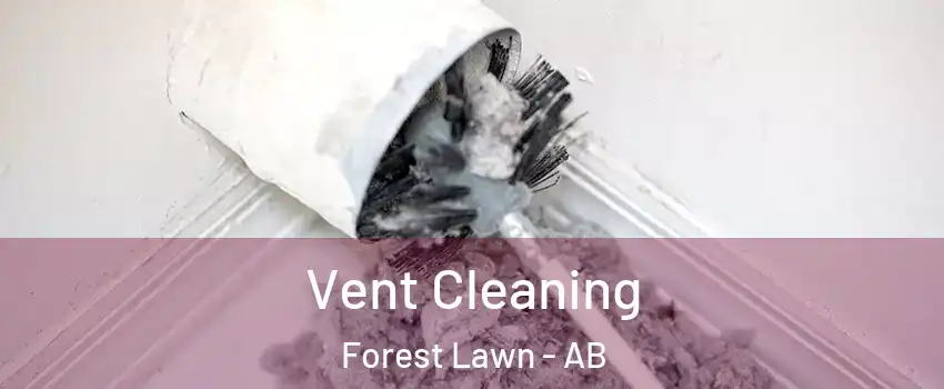  Vent Cleaning Forest Lawn - AB