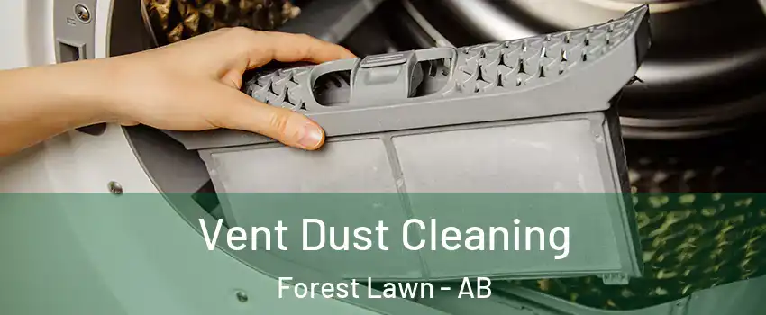 Vent Dust Cleaning Forest Lawn - AB