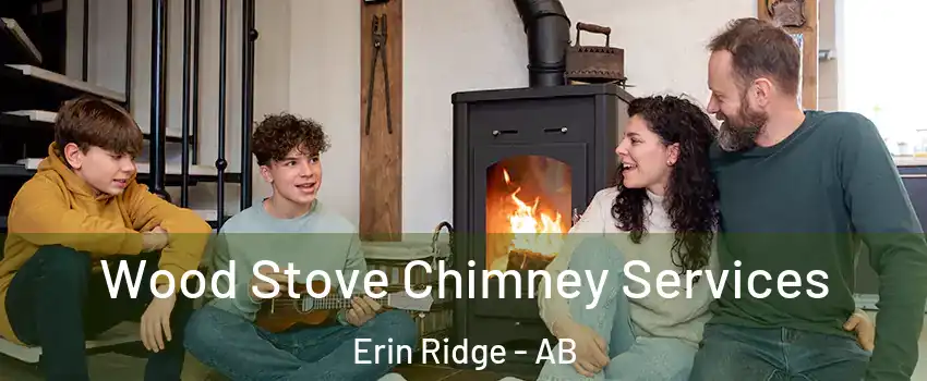  Wood Stove Chimney Services Erin Ridge - AB