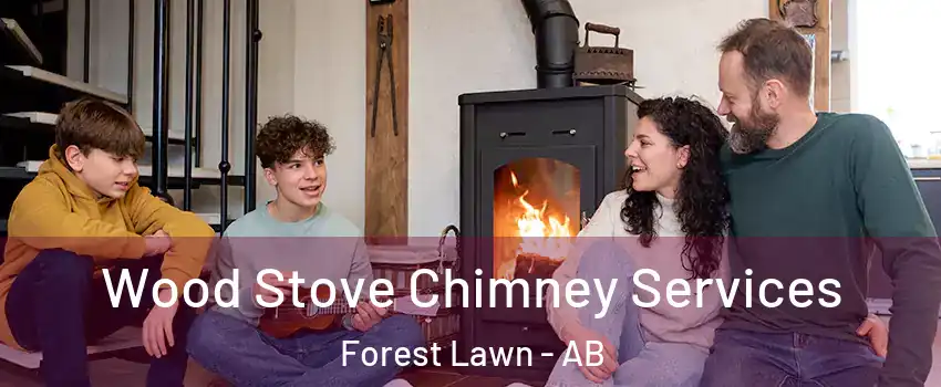  Wood Stove Chimney Services Forest Lawn - AB