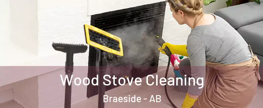  Wood Stove Cleaning Braeside - AB