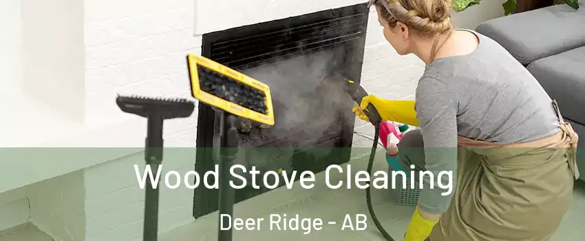  Wood Stove Cleaning Deer Ridge - AB