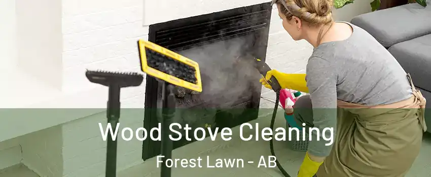  Wood Stove Cleaning Forest Lawn - AB